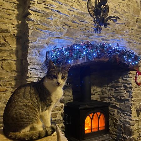 Five Saints Farmhouse B&B Pumpsaint Екстериор снимка