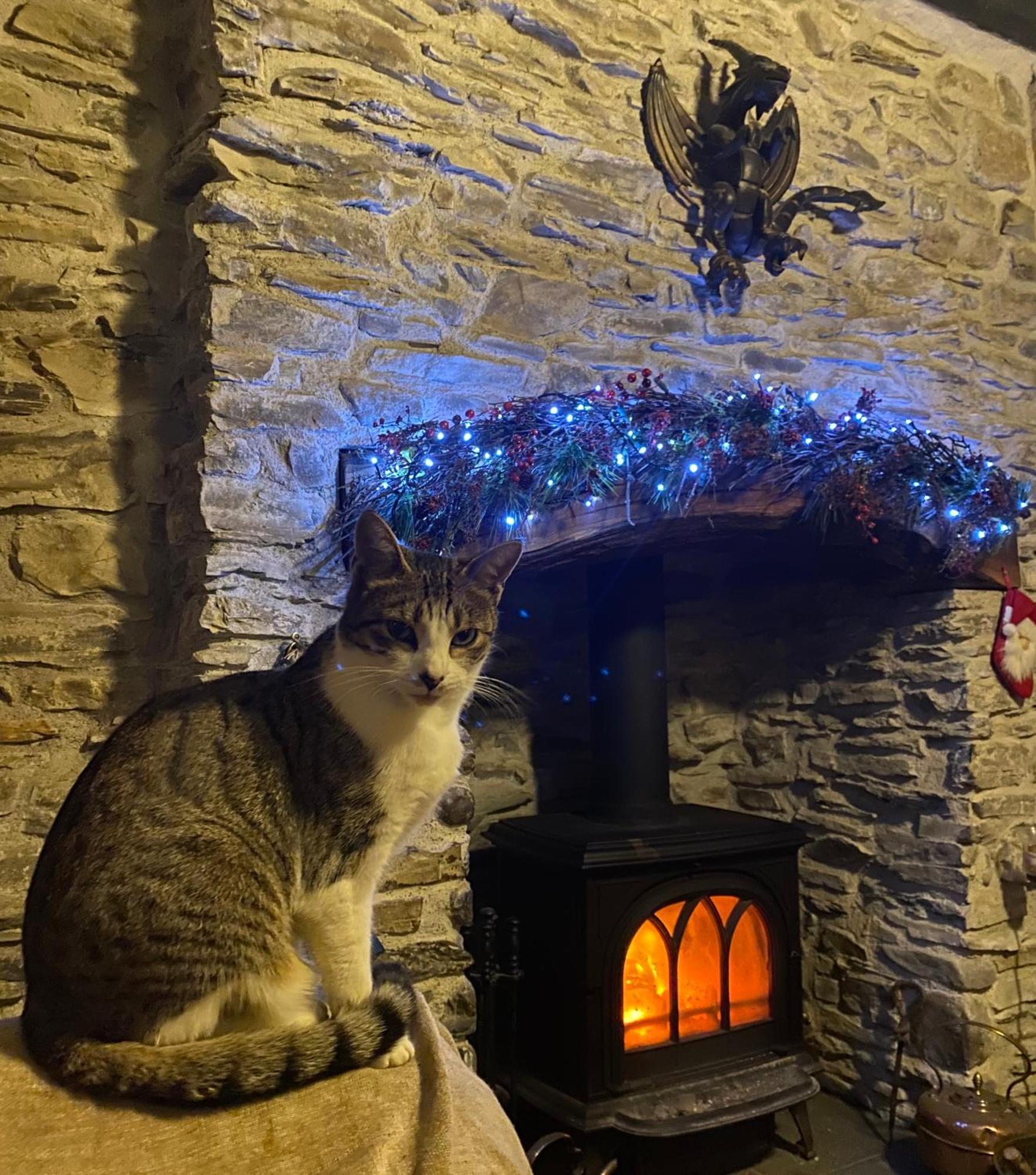 Five Saints Farmhouse B&B Pumpsaint Екстериор снимка